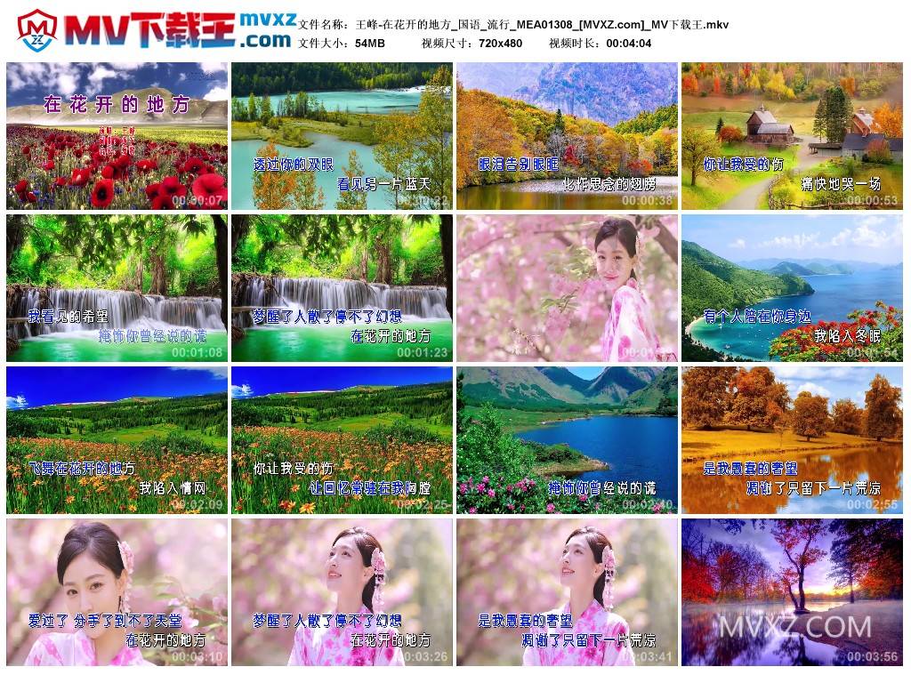 王峰-在花开的地方_国语_流行_MEA01308